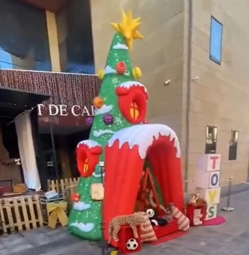 Christmas Inflatable