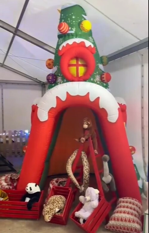 Christmas Inflatable