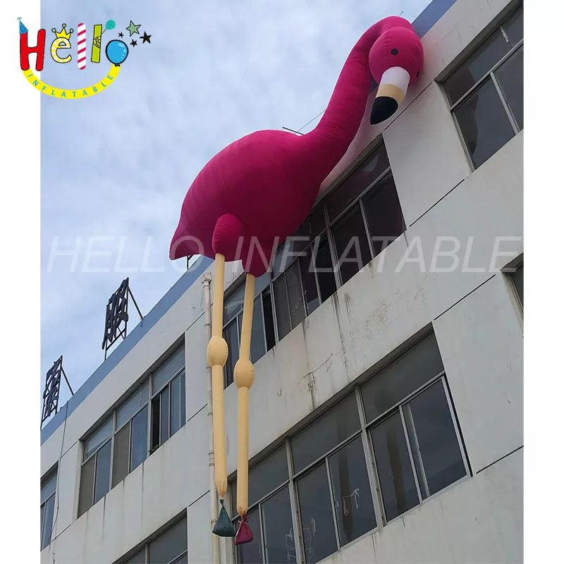 flamingo (2)