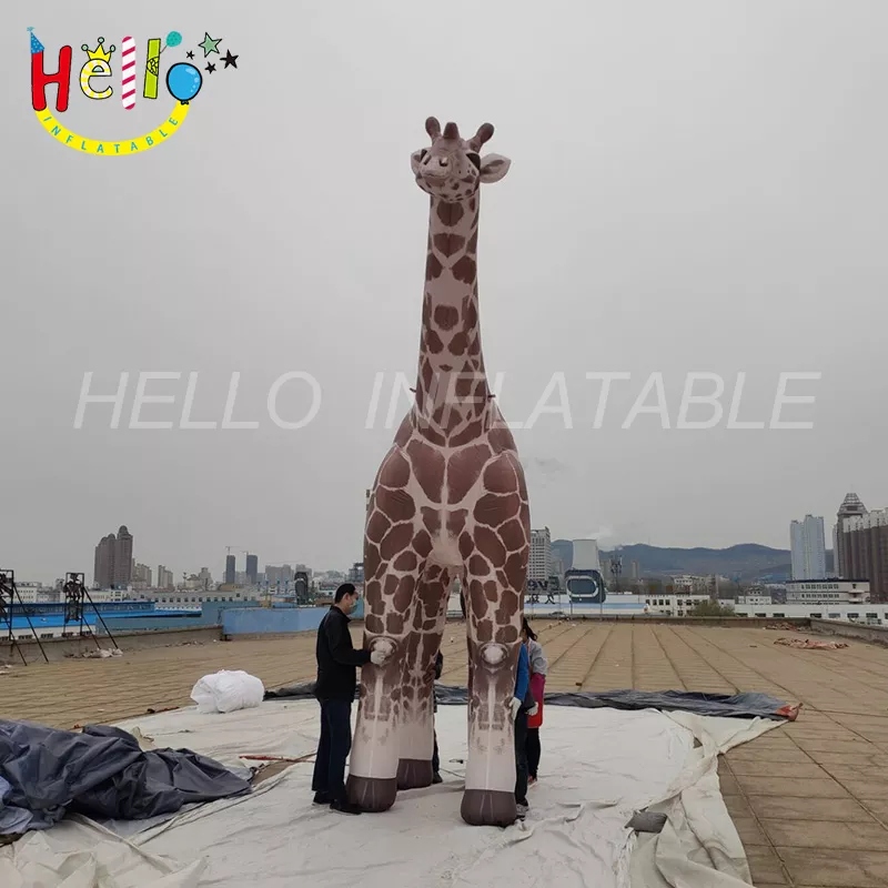 giraffe (11)