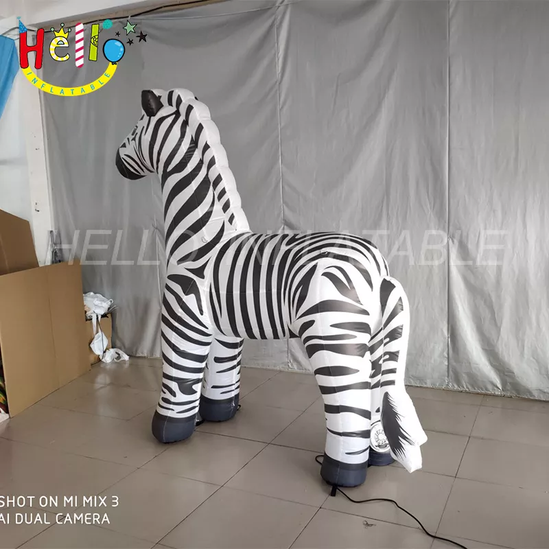 zebra (4)