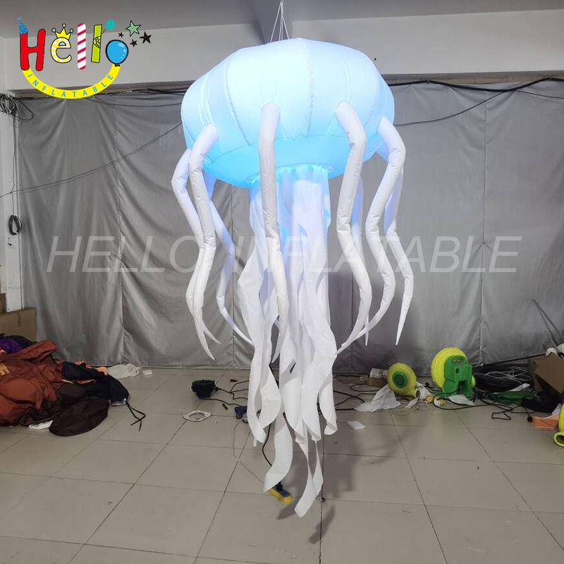 jellyfish-2_结果