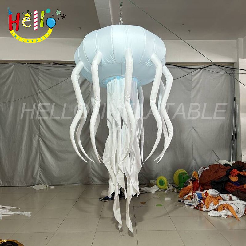 jellyfish-6_结果