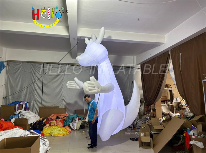 costume inflatable2