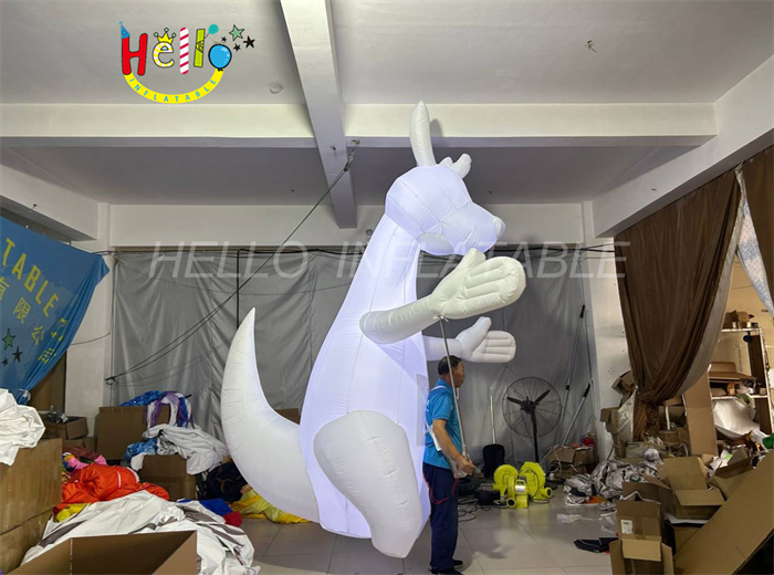 costume inflatable5