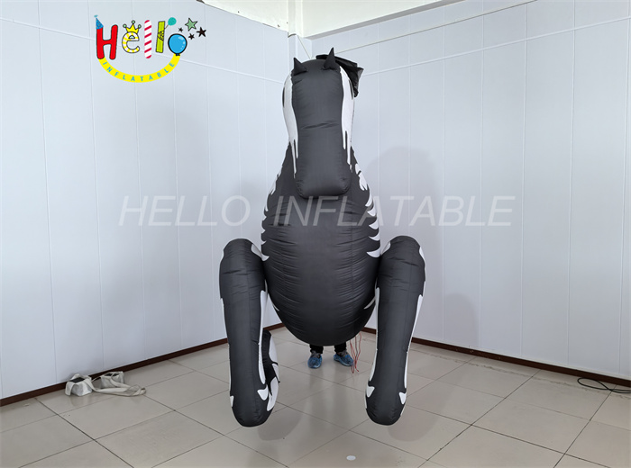 inflatable cartoon